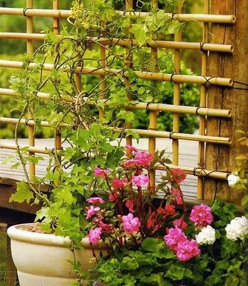 Diy Bamboo Trellis for Potted Blooms