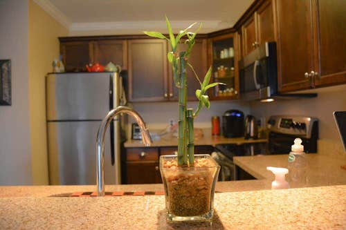 Kitchen Symbolizes Happiness