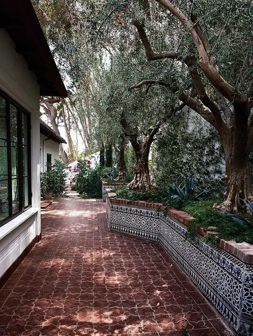 Best Mediterranean Trees Adored with Mosiac Tiles on the Sides