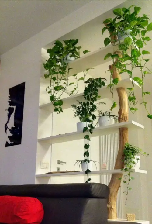 Most Unique Room Dividers