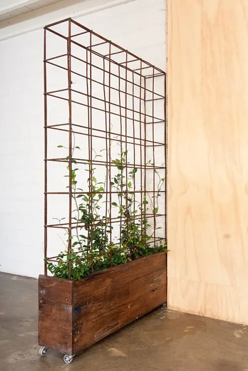 Wooden Houseplant Bed with Rollers
