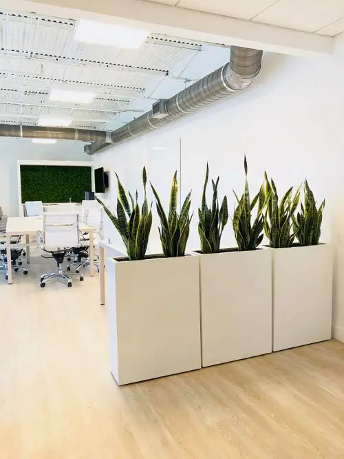 Array of Snake Planters