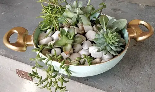 Old Frying Pan Succulent Planter
