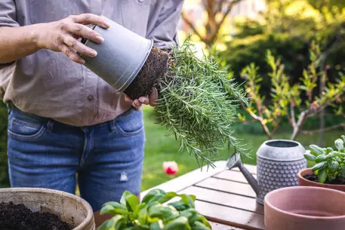 Pick the Right Sized Pot