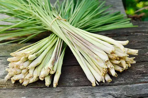 Preserving Lemongrass
