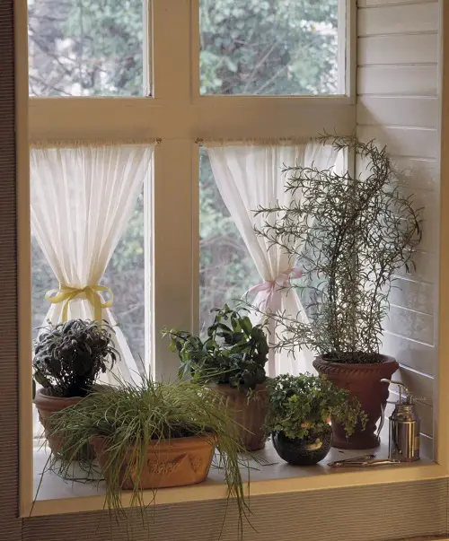 Protect the Herbs from a Southern Window Exposure