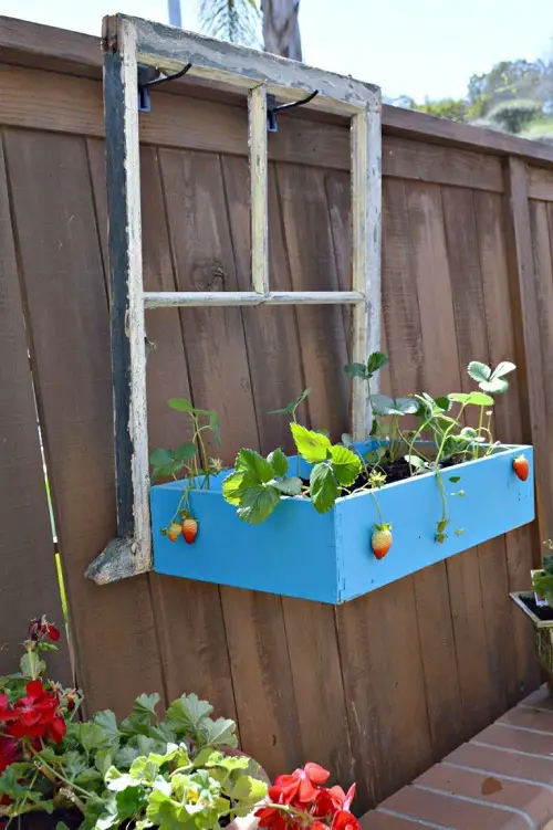 Repurpose an Old Window and Drawer into a Planter
