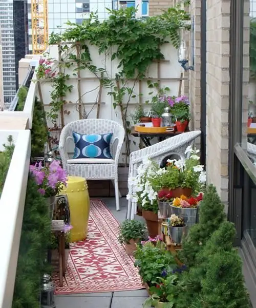 An Urban Balcony Garden with Wooden Trellis