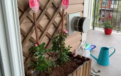 Wooden Planter with Trellis for Climbing Roses