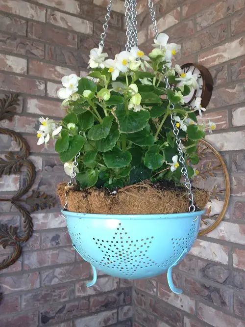 Use Colanders as Hanging Baskets