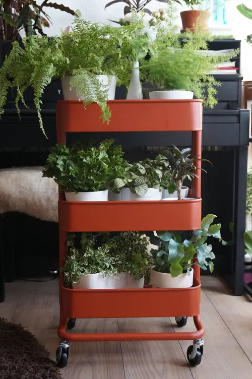 Use Kitchen Cart to Create a Movable Indoor Garden