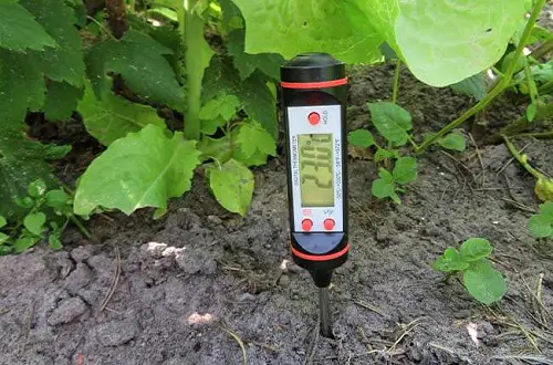 Use Meat Thermometer to Measure Soil Temperature