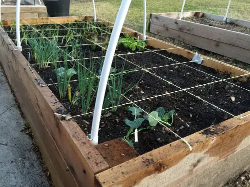 Use Ropes to Section Up the Planting Bed