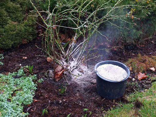 14 Most Effective Solutions Use Wood Ash