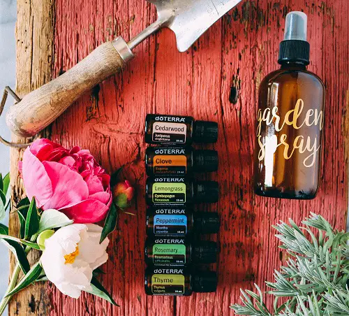 Use Essential Oil Blends