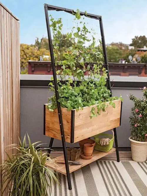 Trellis Planter for Small Balcony
