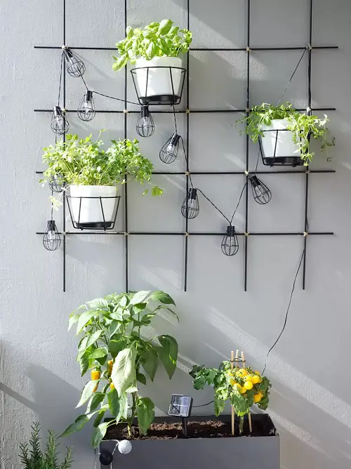DIY Trellis Ideas for Balcony Gardens Plant Grid with Bulbs