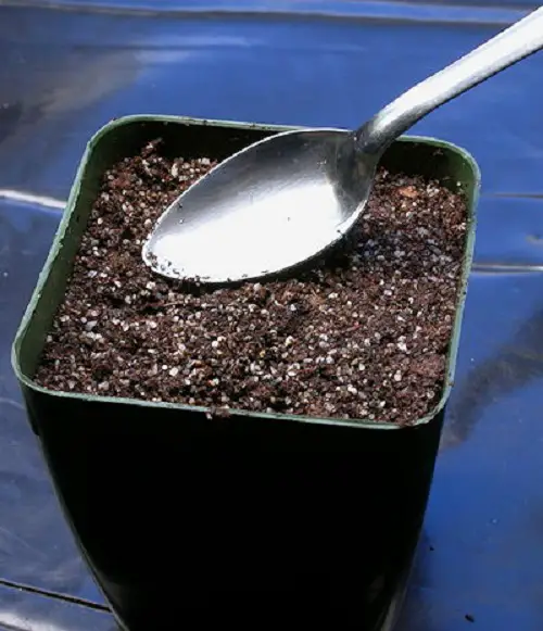 Use Forks and Spoons to Work the Soil
