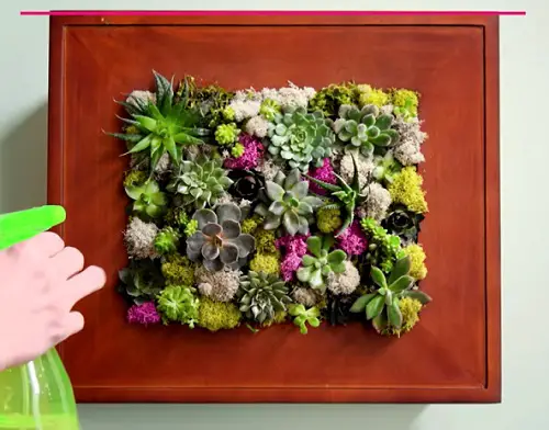 Diy Picture Frame Planter ideas