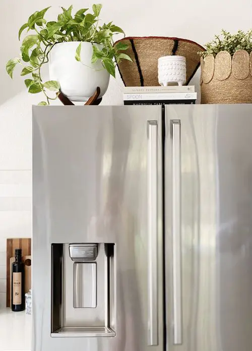 Amazing Houseplants You Can Grow on Top of a Fridge