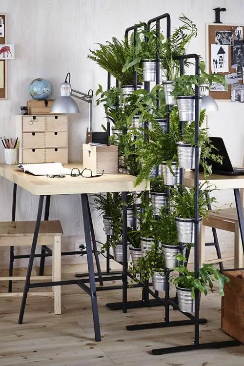 Vertical Fern Garden Divider