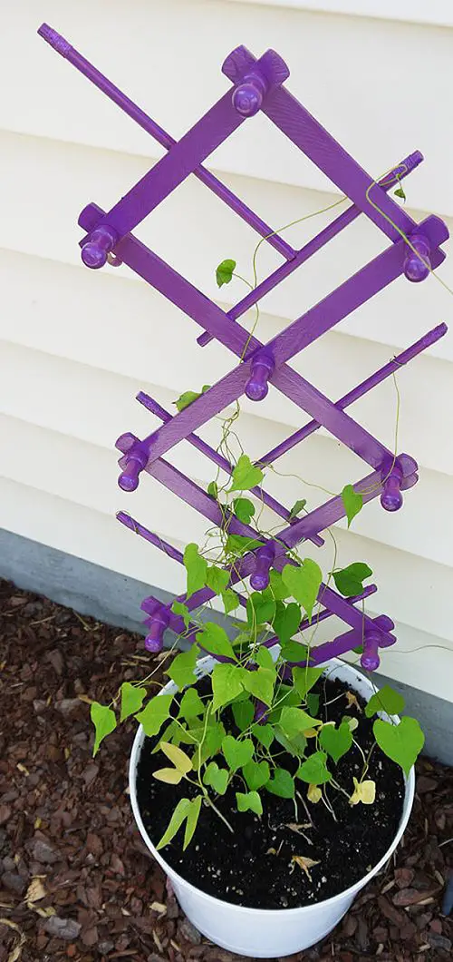 DIY Plant Trellises for Pots Coat Rack Turned into a Garden Trellis
