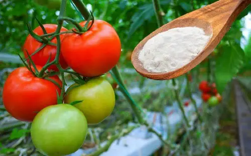 adding baking soda to tomatoes
