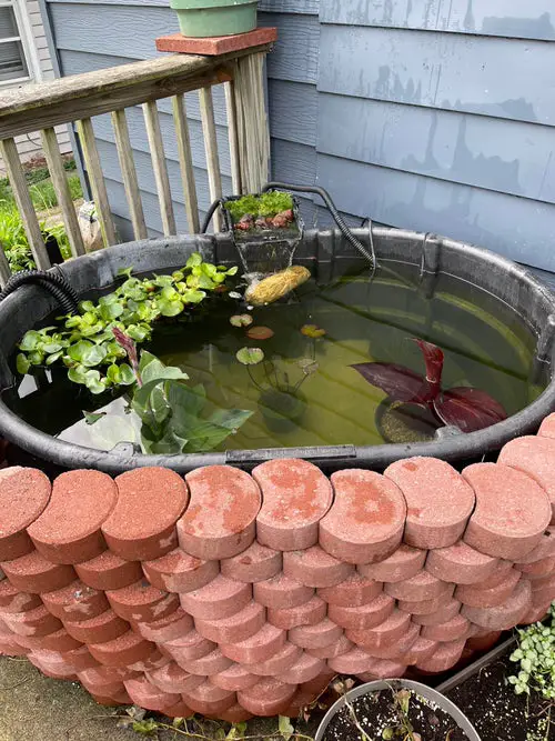 Large Patio Pond Bordered in Pavestone