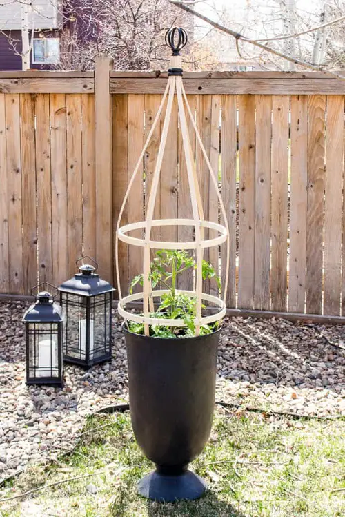 Fancy Pot Trellis