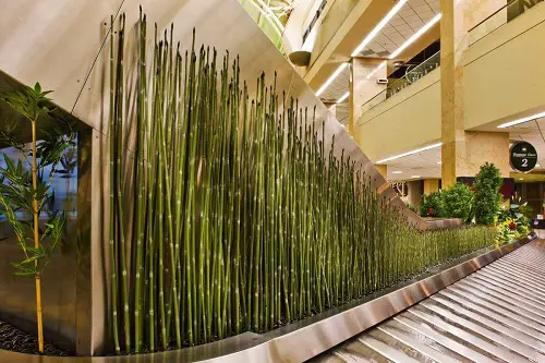 32 Beautiful Indoor Privacy Ideas with Plants 4
