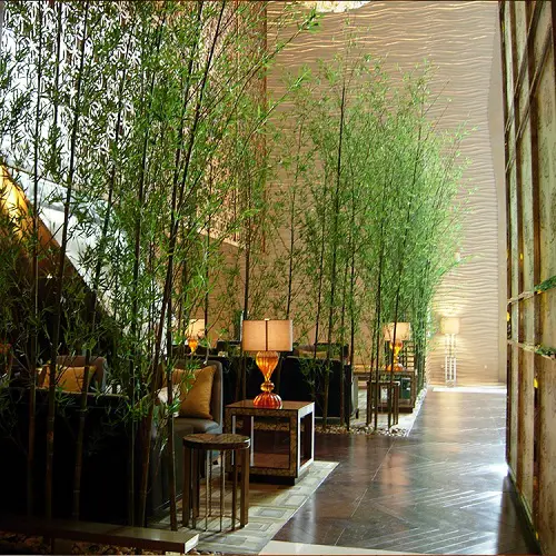 32 Beautiful Indoor Privacy Ideas with Plants 9