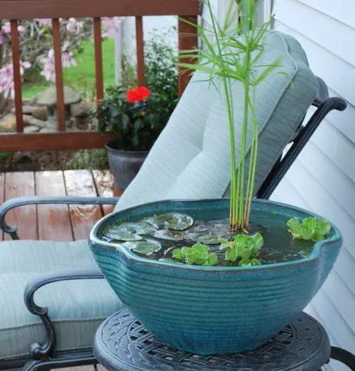 Mini Tabletop Pond in the Balcony