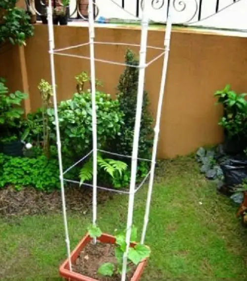 Sturdy Container Stake