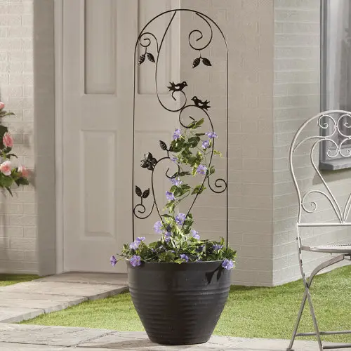Bird Engraved Metal Arch for Containers