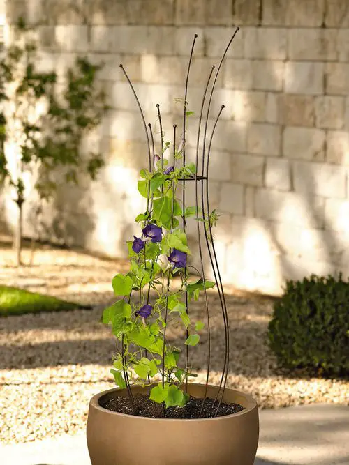 Freestanding Pot Trellis