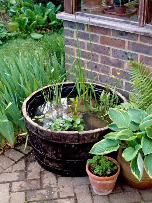 Spectacular Outdoor Mini Water Garden Ideas