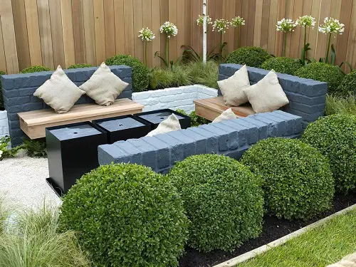 Best Privacy Plants in garden