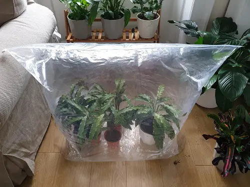 top Clever Tips for Garden When Going on Vacation