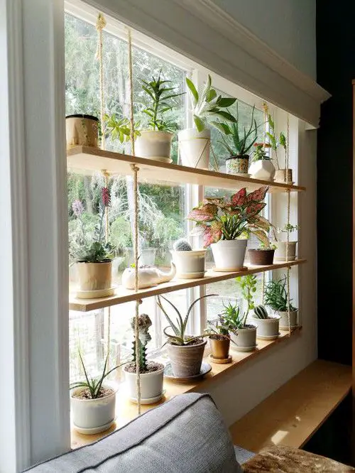 32 Beautiful Indoor Privacy Ideas with Plants 13