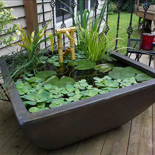 Mini Rustic Pond in the Patio