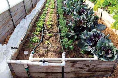 Drip Irrigation System for Raised Beds