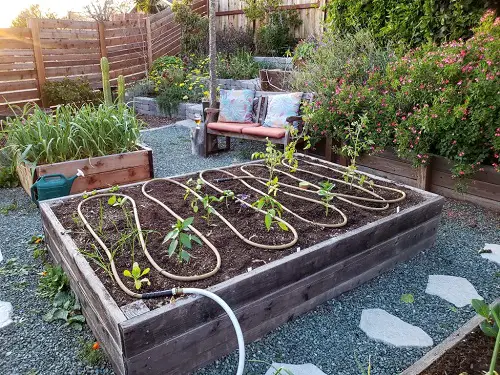 Make a Watering Plan