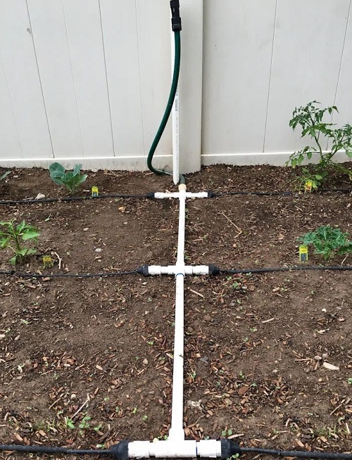 Drip Watering System for Vegetable Bed