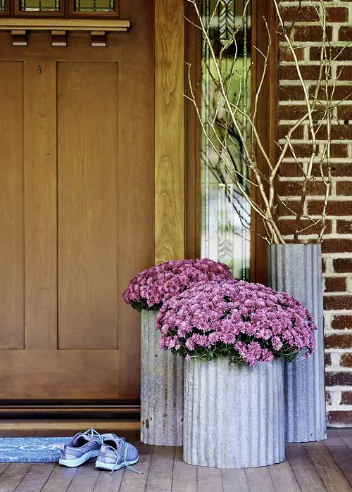 Best Plants for Front Door According to Various Cultures