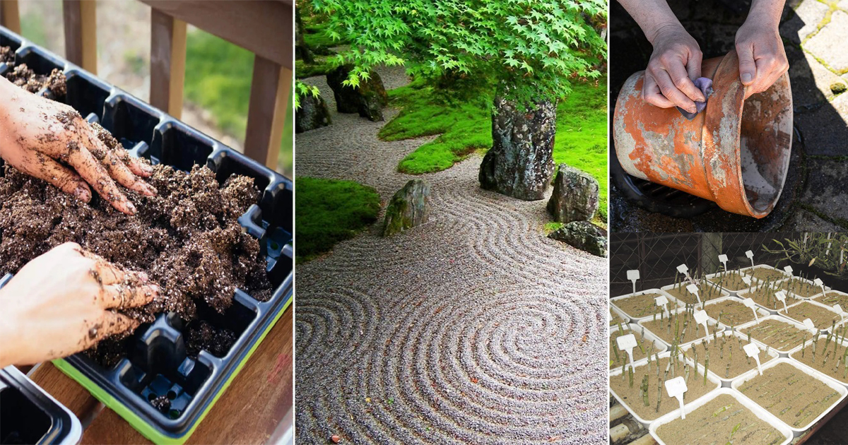 10 Amazing Ways to Use Sand in the Garden (Sand Hacks for Gardeners)
