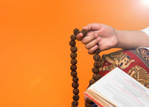 Rudraksha Tree in India