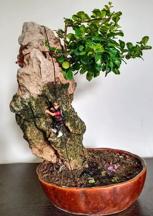 Mountain Climber Artefact on a Rocky Bonsai