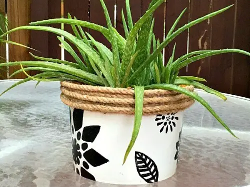 Plastic Pots Made into Expensive Planters