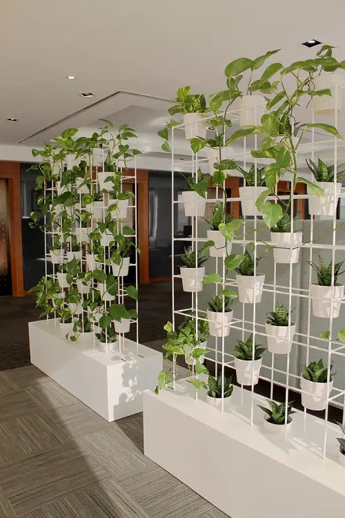 32 Beautiful Indoor Privacy Ideas with Plants 2