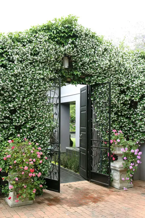 The Greatest Plants for Front Doors Depending on the Culture